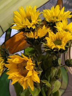 Наші емоції починають бути штучними...  Наші емоції починають бути штучними...