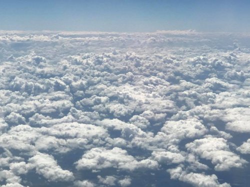 Навіяло... Передвиборча весна 2019