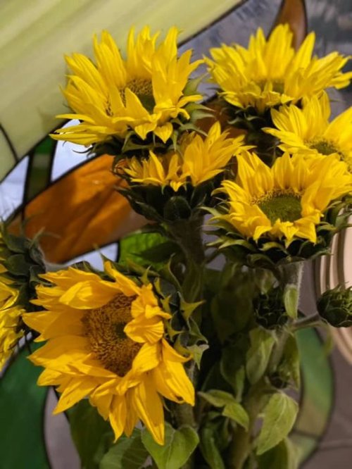 Наші емоції починають бути штучними...  Наші емоції починають бути штучними...